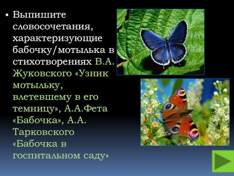 Стихотворение бабочка фет. Бабочки в литературе. Образ бабочки в литературе. Стихотворение Тарковского бабочка. Предложение про бабочку.