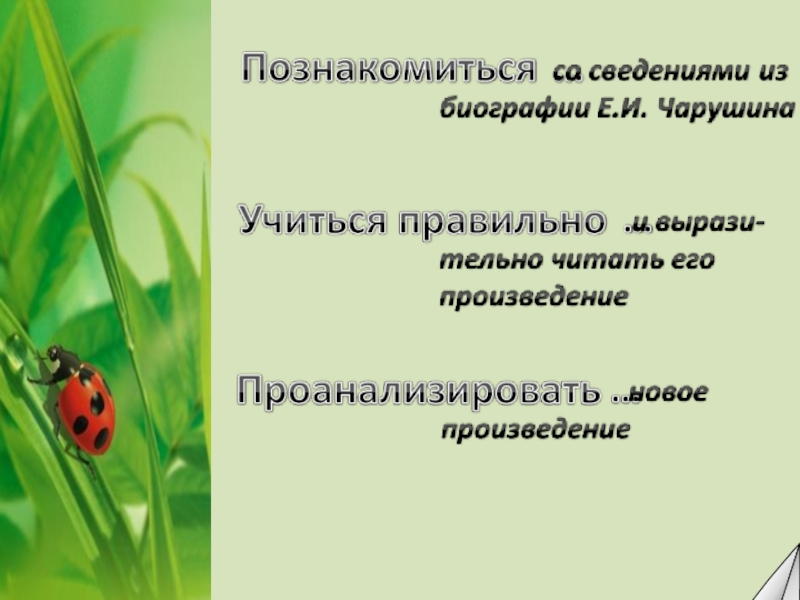 Е чарушин страшный рассказ презентация урока 2 класс школа россии презентация