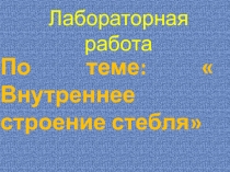 Презентация для лабораторной работы 6 класс по  Внутреннее строение стебля