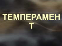 Темперамент