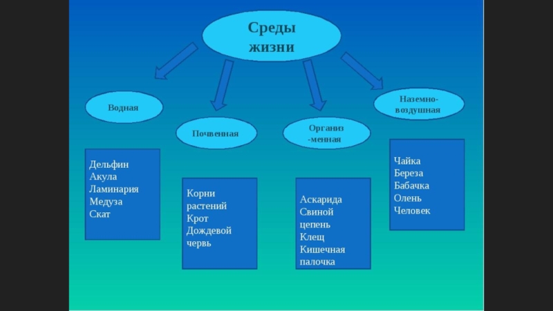 Важнейшим условием жизни. Среды жизни. Среды жизни на земле. Схема среды жизни. Жизнь и еда.