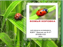 Презентация о насекомых Божья коровка
