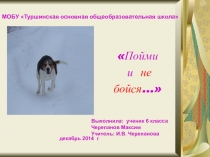 Презентация по биологии, воспитывающая добрые отношения к братьям нашим меньшим