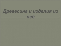 Презентация к теме Древесина и изделия из нее