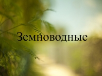 Презентация по Биологии на тему Земноводные