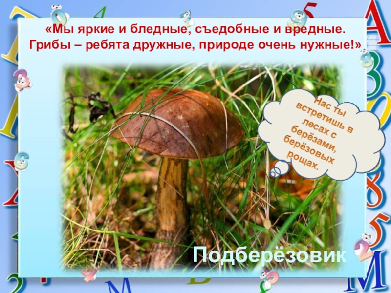 Подберезовик разбор. Ребята с грибами. Подберезовик и его факты о жизни. Грибы, .урок сбо. Подберезовик факты интересные факты.