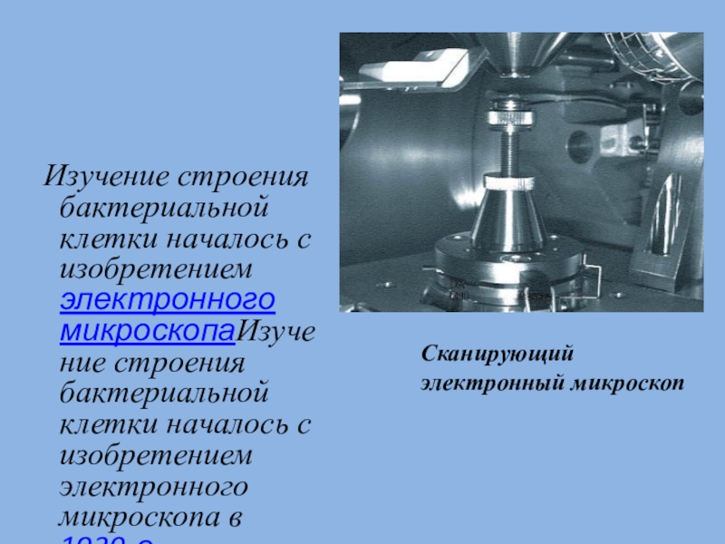 Изучение строения. Изобретение электронного микроскопа. Изобретение сканирующего микроскопа год. Изобретение электронного микроскопа год.