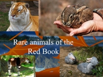 Презентация по английскому языку Животные Красной книги