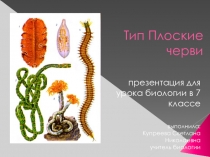 Презентация к уроку биологии для 7 класса Тип плоские черви