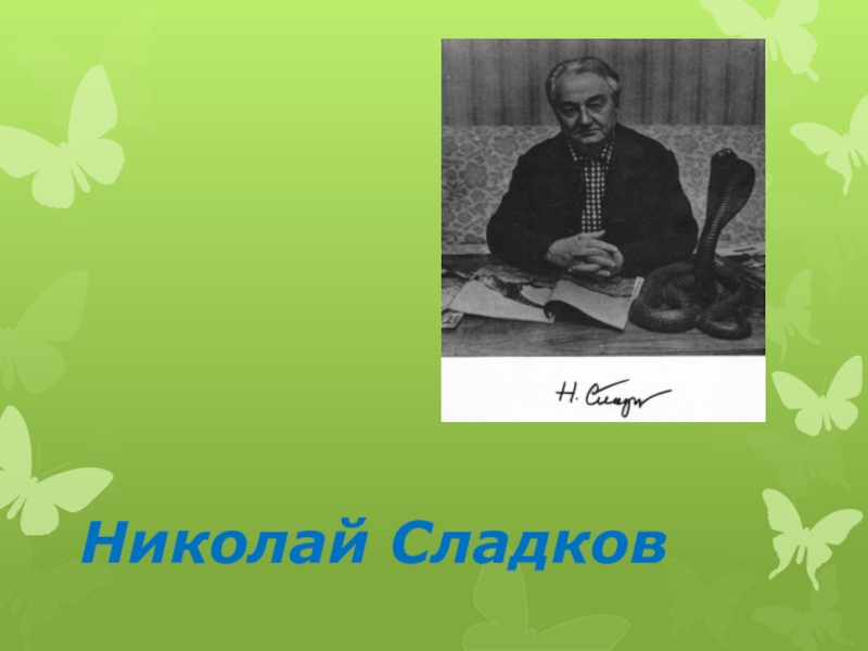 Презентация по чтению на тему Н.Сладков Синичкин запас