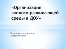 Презентация Организация эколого-развивающей среды в ДОУ