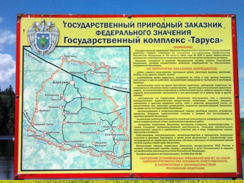 Карта таруса калужская