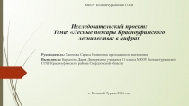 Работа учащейся. Исследовательский проект на тему Лесные пожары Красноуфимского района: в цифрах.