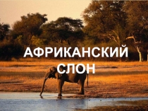 Презентация по математике Устный счет. Действия с натуральными числами (5 класс)