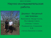 Презентация по биологии на тему Деревья-бесценный дар природы