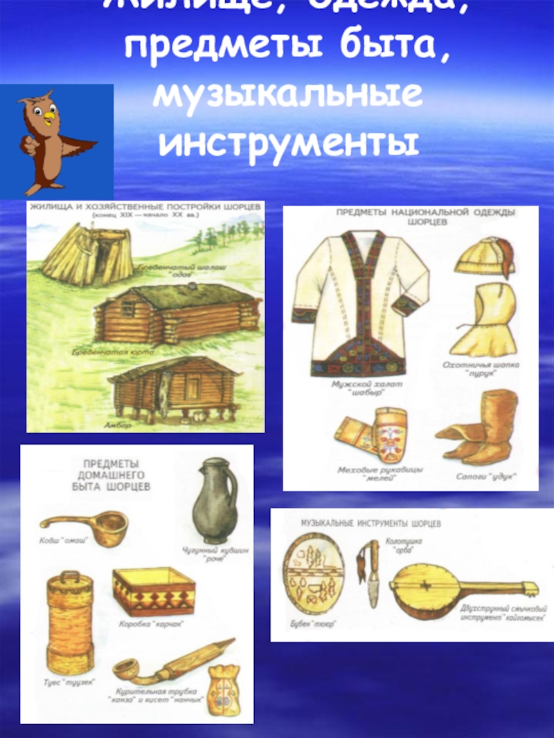 Шорцы картинки нарисованные