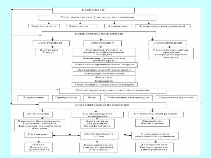 Презентация воспаления патология