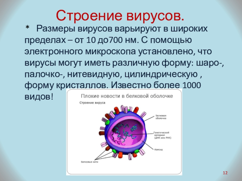 Вирусы презентация 10 класс биология