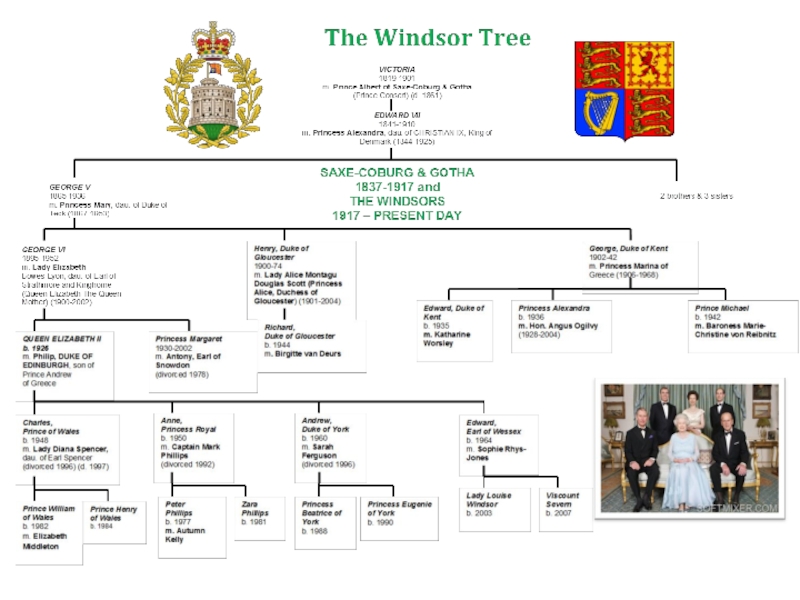 Генеалогическое древо виндзоров на русском языке с фото