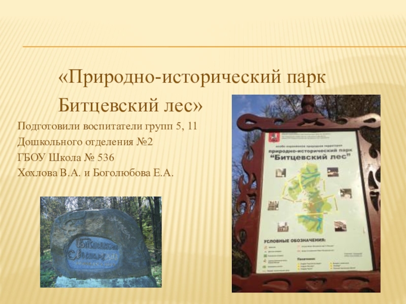 Презентация Природно-исторический парк Битцевский лес