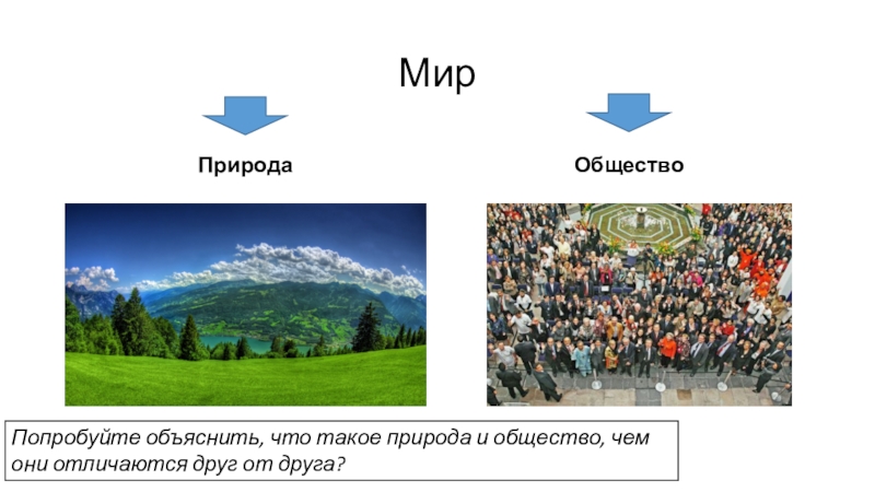 Чем отличается общество от природы. Предложение это в обществознании. Что такое Обществознание 5 класс вводный урок Соболева.