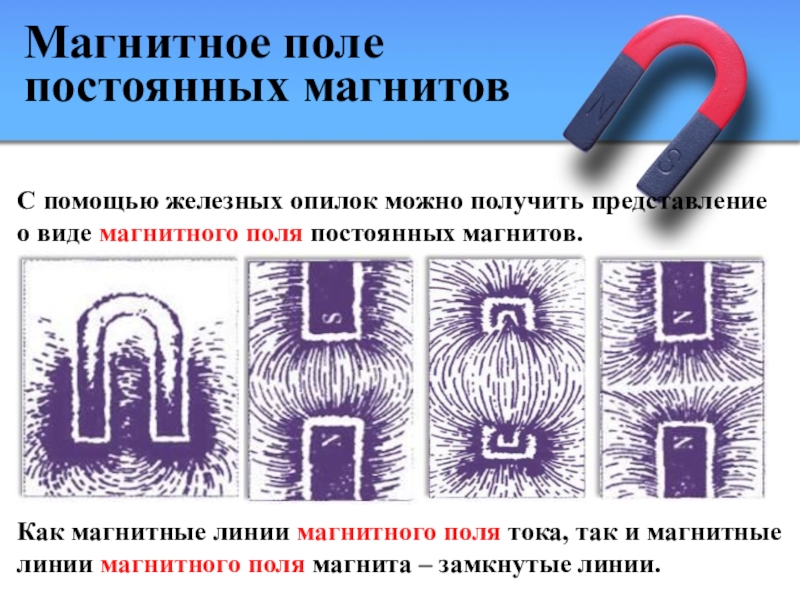 Виды магнитных