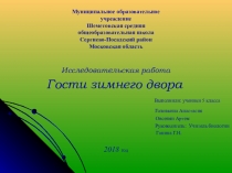 Презентация к исследовательской работе.