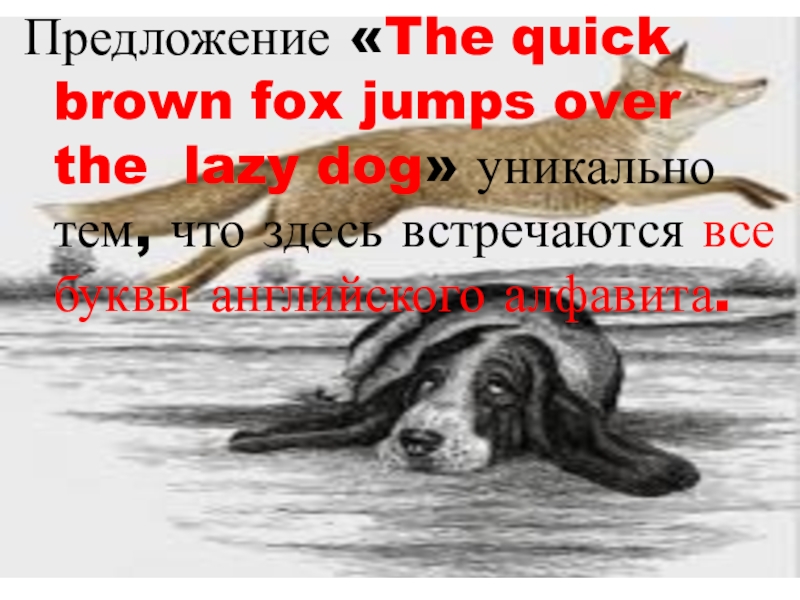 Brown fox jumps over the lazy dog