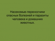 Презентация по биологии на тему: Насекомые вредители(7 класс)