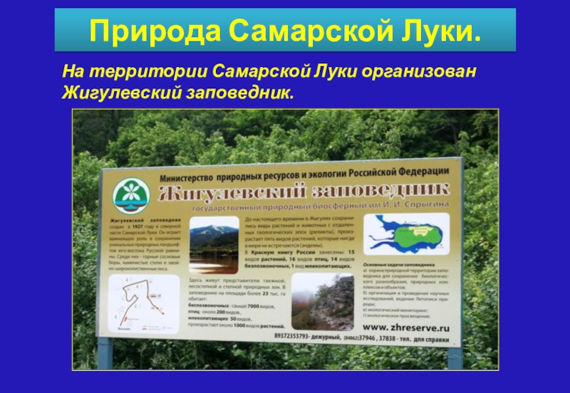 Самарская лука презентация