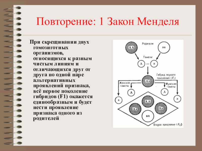 Практическая работа составление простейших схем скрещивания 10 класс