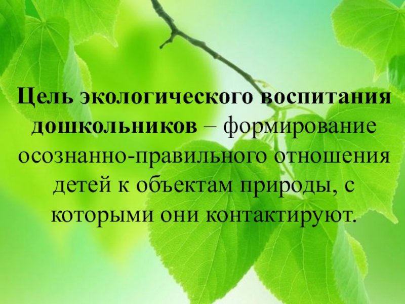 Проект по экологическому воспитанию дошкольников