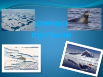 Презентация по географии на тему Арктические пустыни России ( 8 класс)