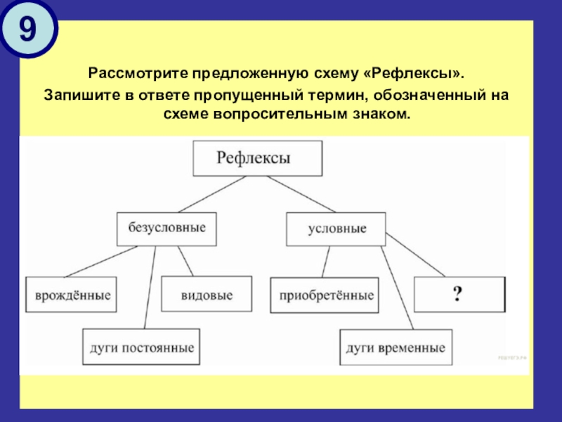 Рассмотрите предложенную схему классификации мутаций запишите в ответе пропущенный термин