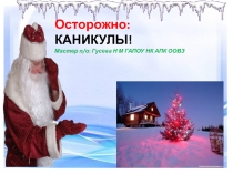 Какие неприятности могут возникнуть в период каникул.