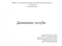 Презентация Домашние голуби (3 класс)