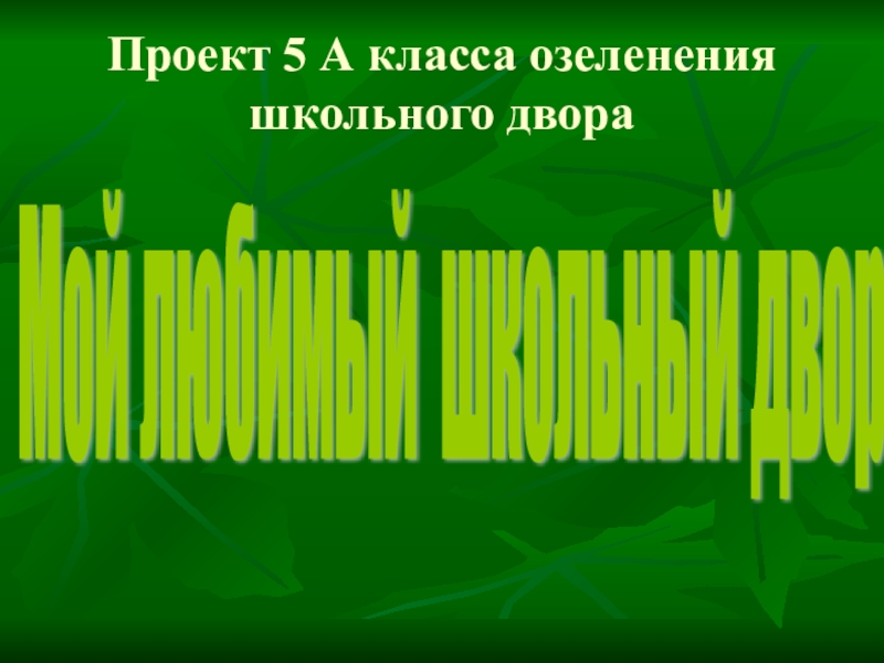 Проект на тему мой двор