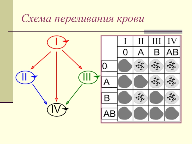 Схема наследования групп крови