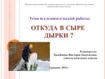 Электронный образовательный ресурс презентация исследовательской работы на тему Откуда в сыре дырки?