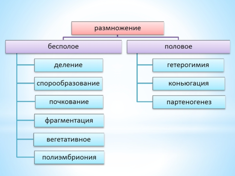 Размножение организмов 9 класс. Формы размножения организмов 10 класс. Какая форма размножения прогрессивнее. Тест виды размножения. Размножение организмов ЕГЭ трудные вопросы.