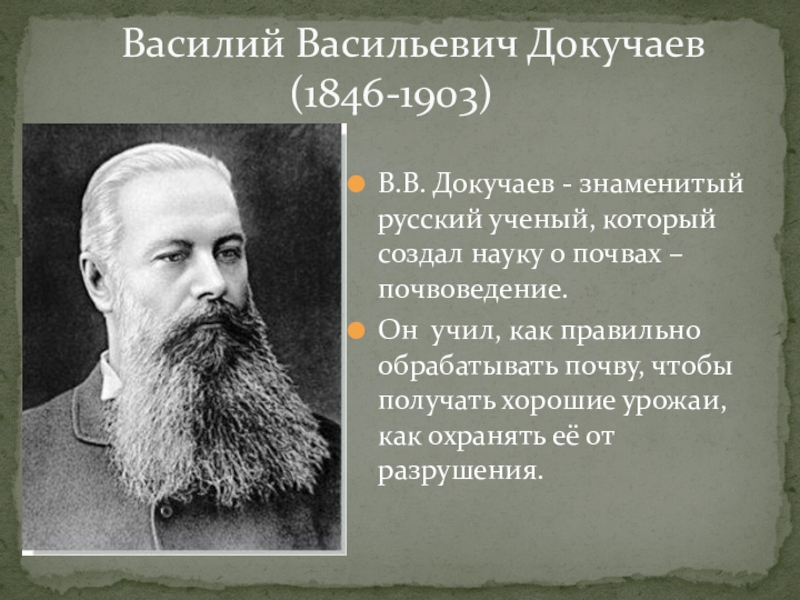 Докучаев назвал почву зеркалом природы какие