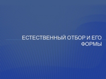 Презентация по биологии на тему Естественный отбор и его формы (11 класс)