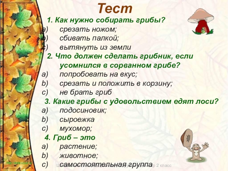 Как надо собирать. Как нужно собирать грибы. Памятка как срезать грибы и какие надо есть. Во сколько надо собирать грибы. Правильный утверждения не сшибай палкой ядовитые грибы.