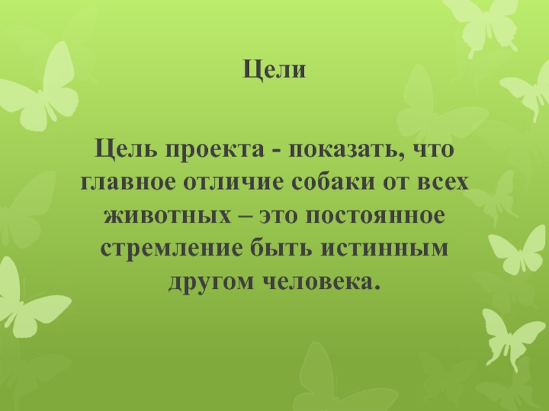 Проект на тему мое любимое домашнее животное