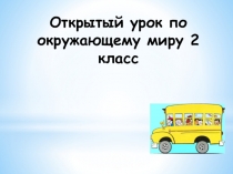 Презентация по окружающему миру Какой бывает транспорт? (2класс)