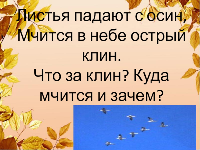 Падают падают листья. Листья падают с осин мчится. Падают с осин мчится в небе острый Клин. Листья падают с осин летит в небе острый Клин.