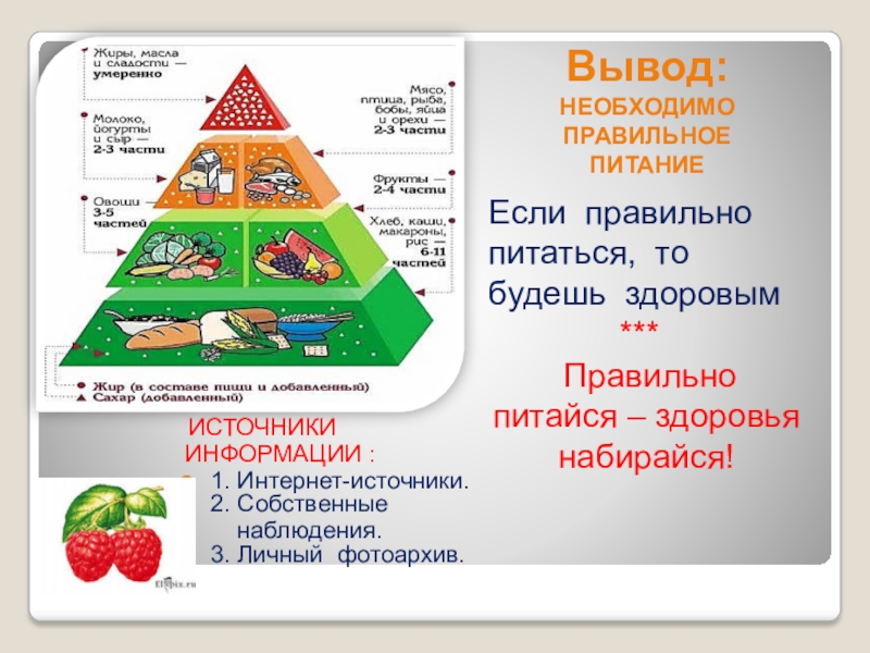 Мини проект по окружающему миру 3 класс