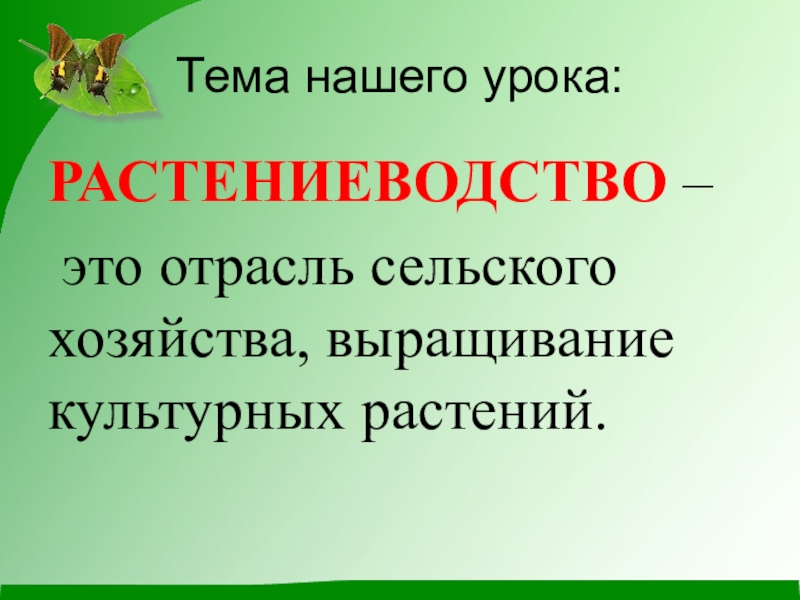 Растениеводство проект 4 класс окружающий мир