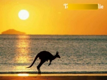 Презентация по английскому языку на тему Добро пожаловать в Сидней