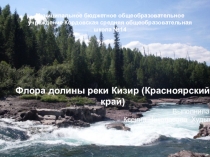 Презентация Флора долины реки Кизир